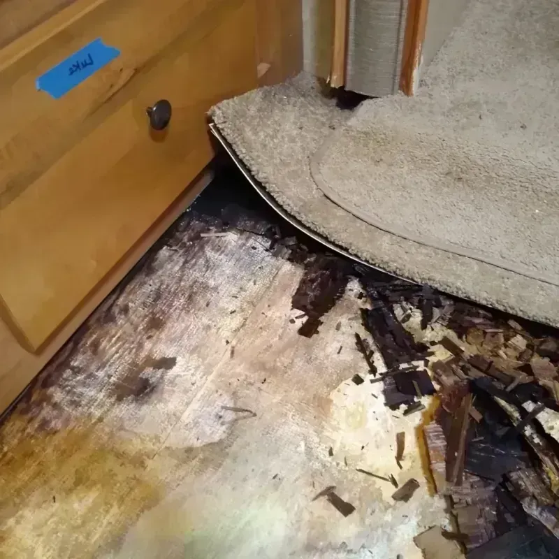 Wood Floor Water Damage in Largo, FL